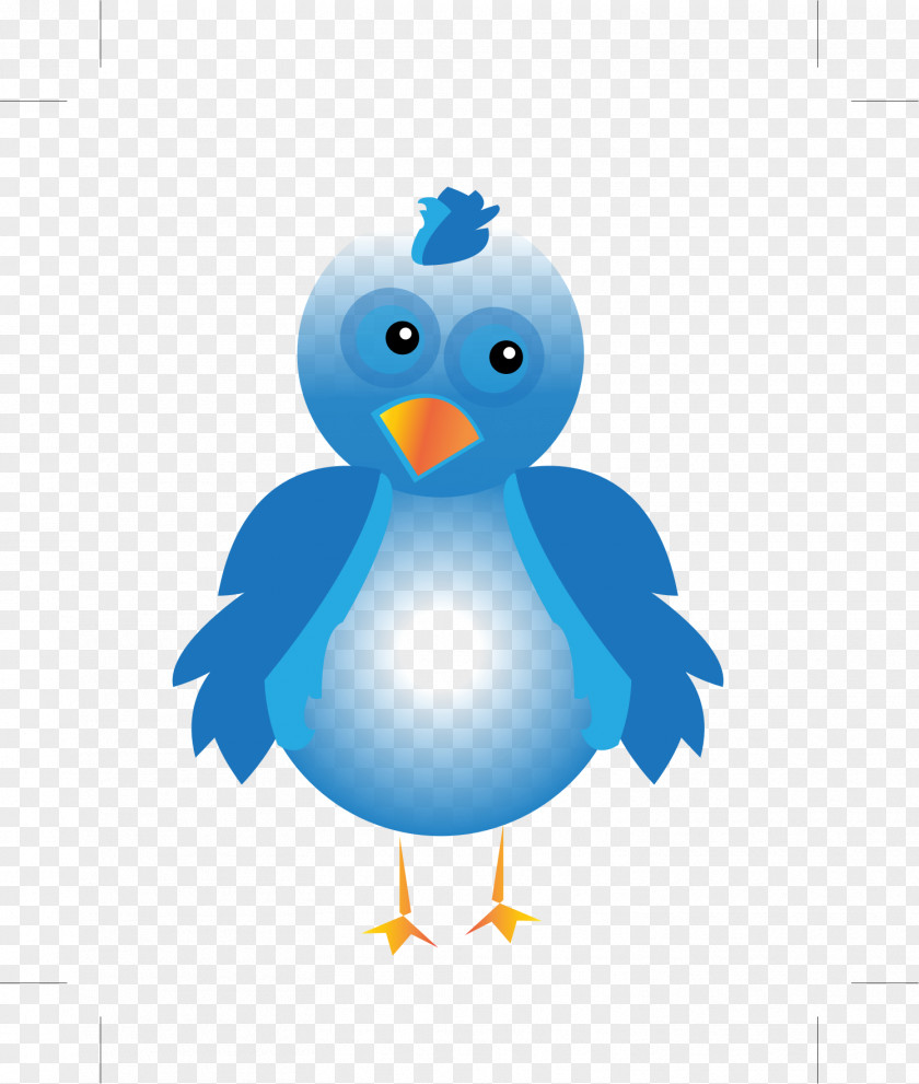 Bird Cartoon Bluebird Clip Art PNG