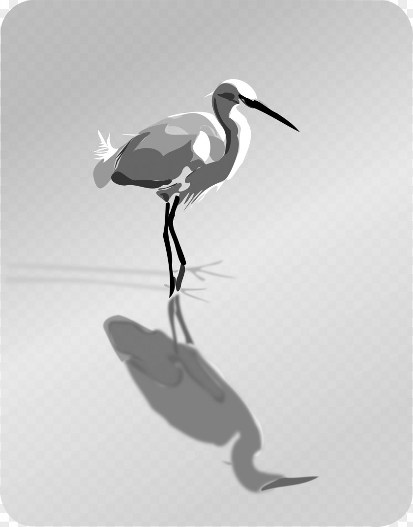 Bird Heron Clip Art PNG