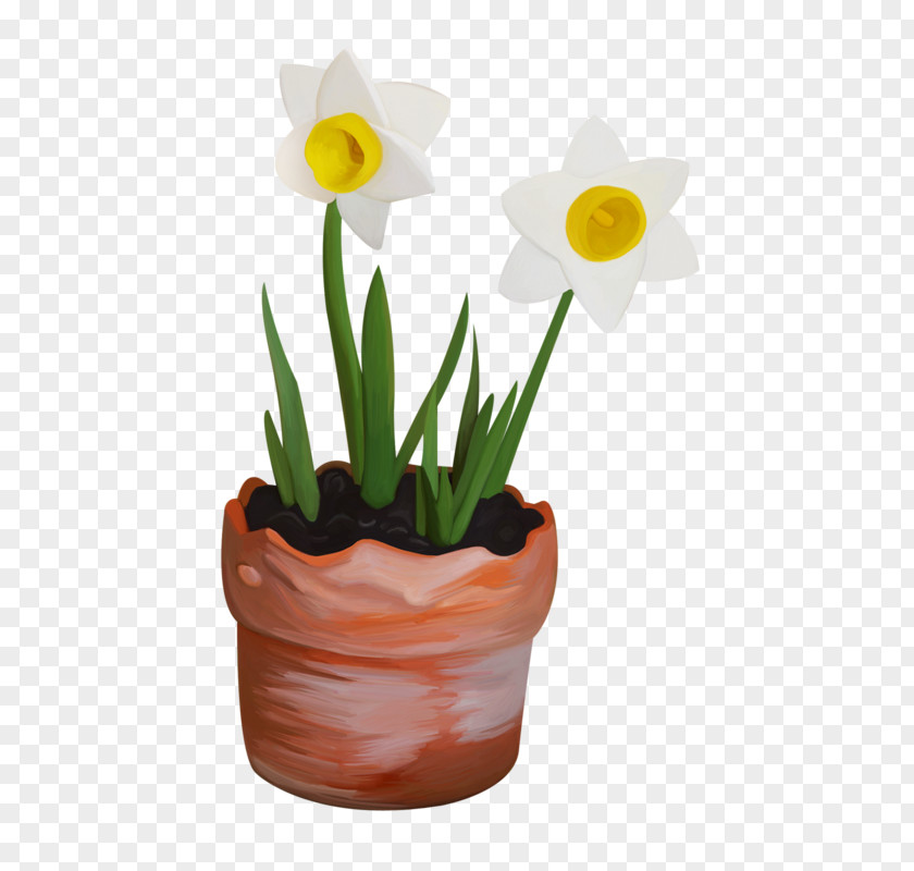 Narcissus Flowerpot PNG