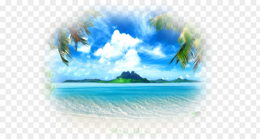 Natural Scenery Desktop Wallpaper Mural Painting Beach PNG