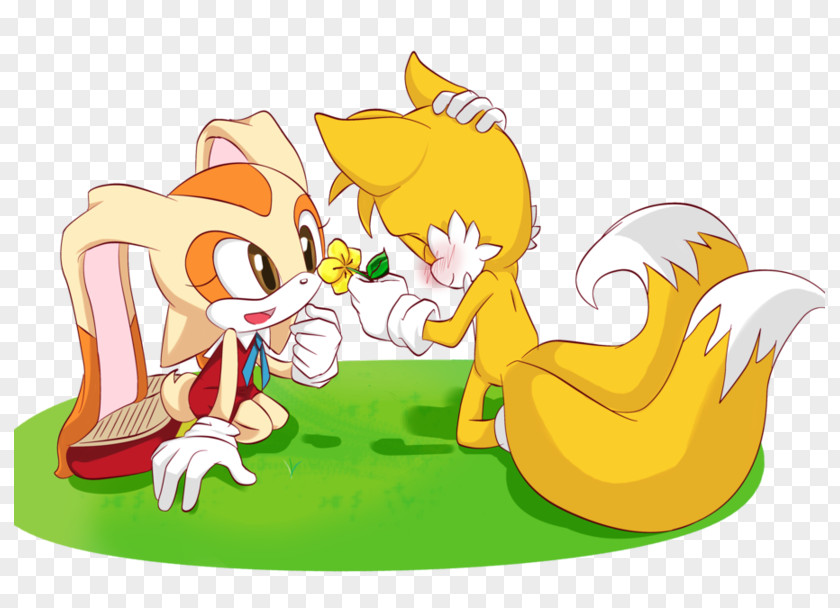 Tails Cream Sonic The Hedgehog Amy Rose Shadow PNG