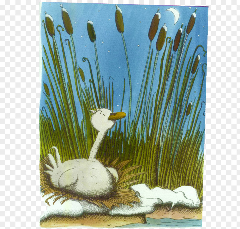 Ugly Duckling Goose Cygnini Duck Anatidae Water Bird PNG