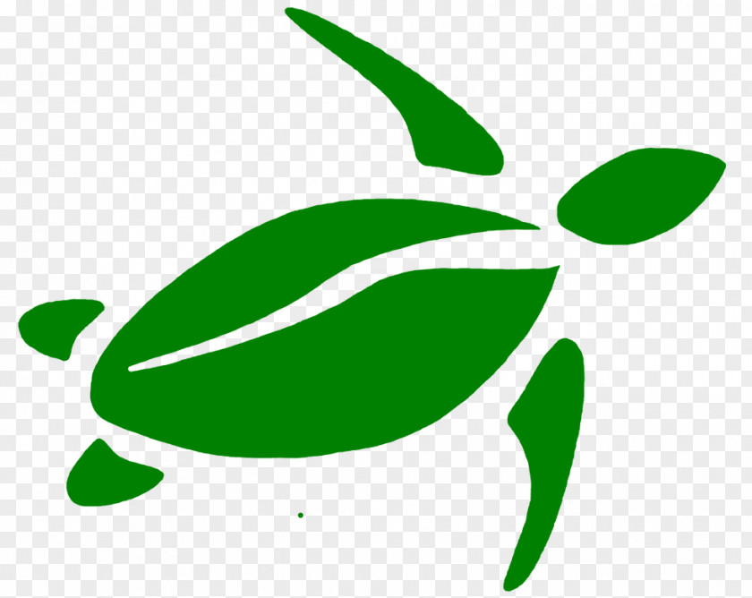 Galle Recycling Sustainability Leaf Clip Art PNG