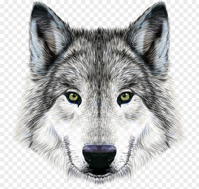 Imposing Wolf Dog Arctic Mexican Illustration PNG