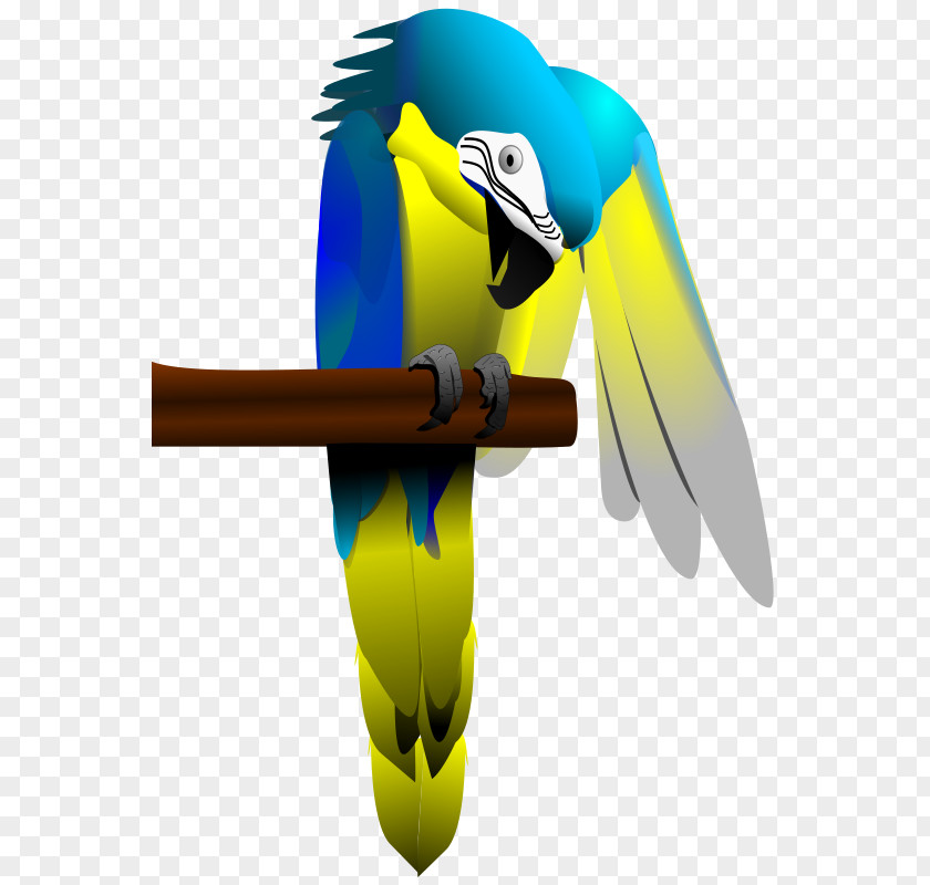 Macaw Parrot Bird Blue-and-yellow Clip Art PNG