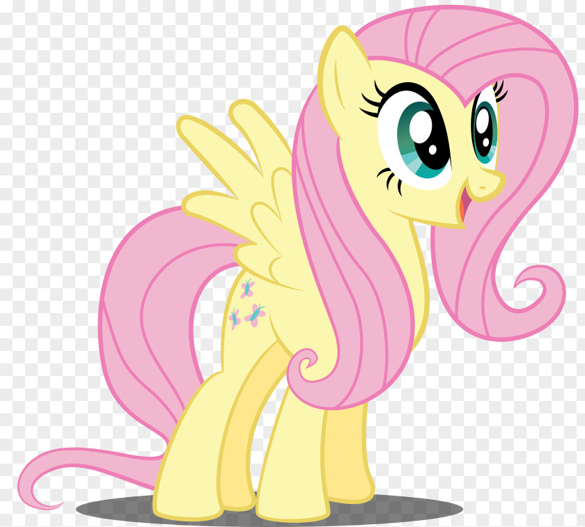 Pony Fluttershy Rarity Twilight Sparkle Rainbow Dash PNG