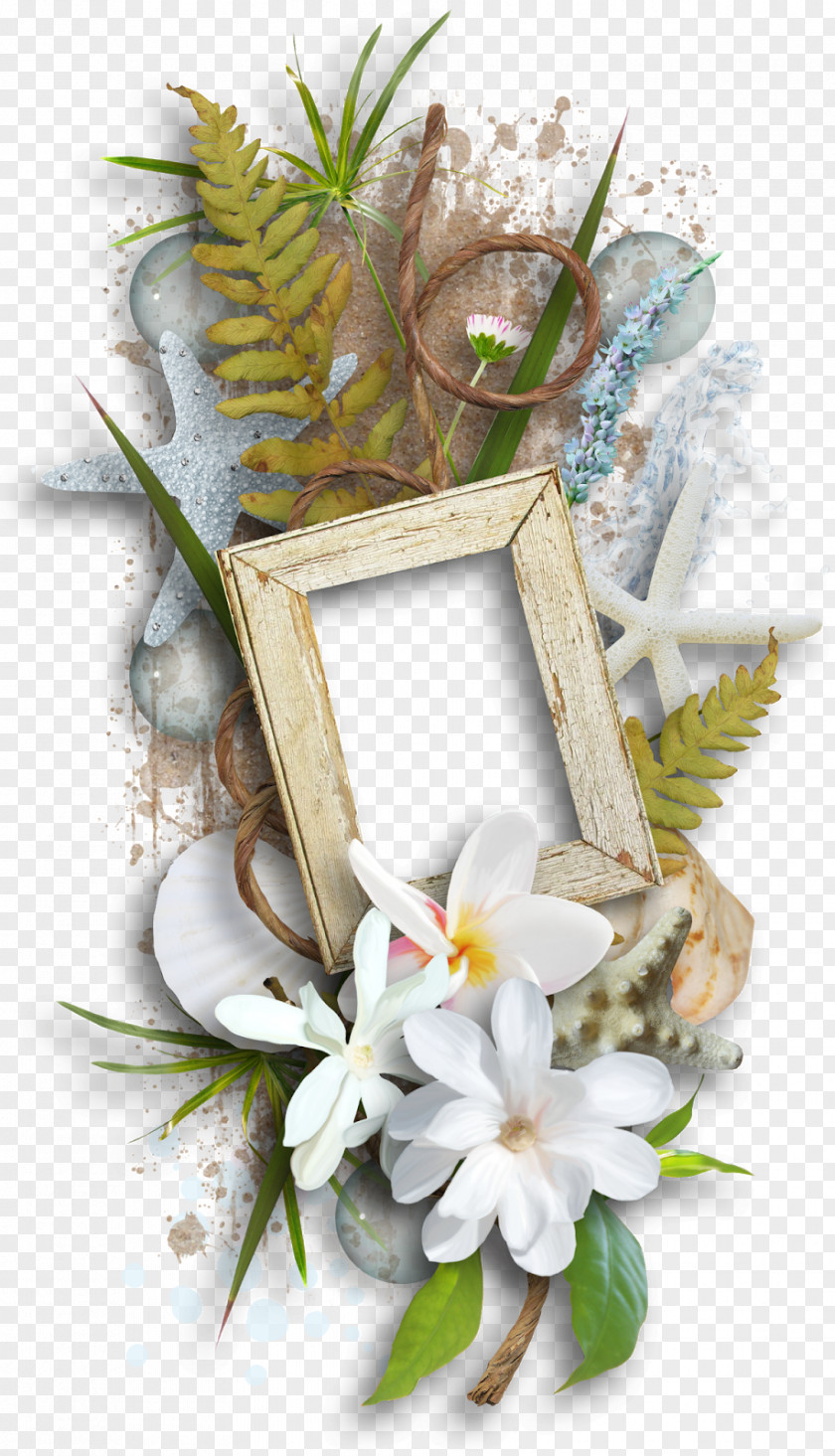 Sea Cut Flowers Floral Design PNG