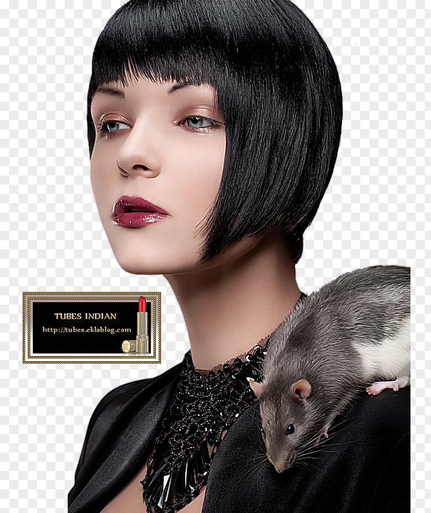 Hair Coloring Black Animal PNG