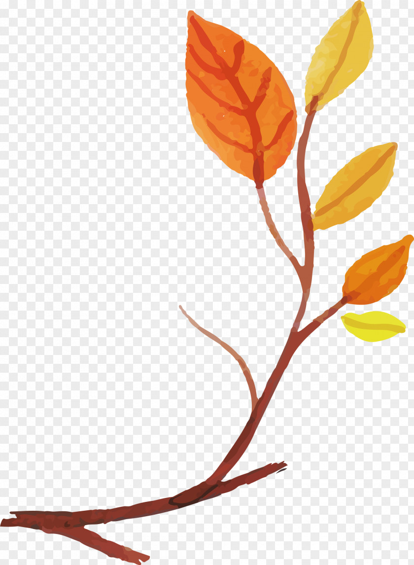 Plant Stem Petal Leaf Cut Flowers Twig PNG