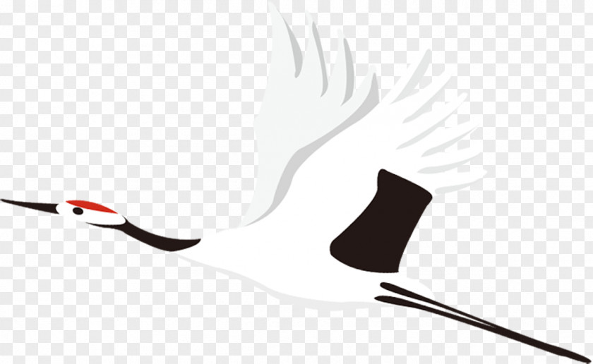 White Crane Common Bird Vecteur PNG