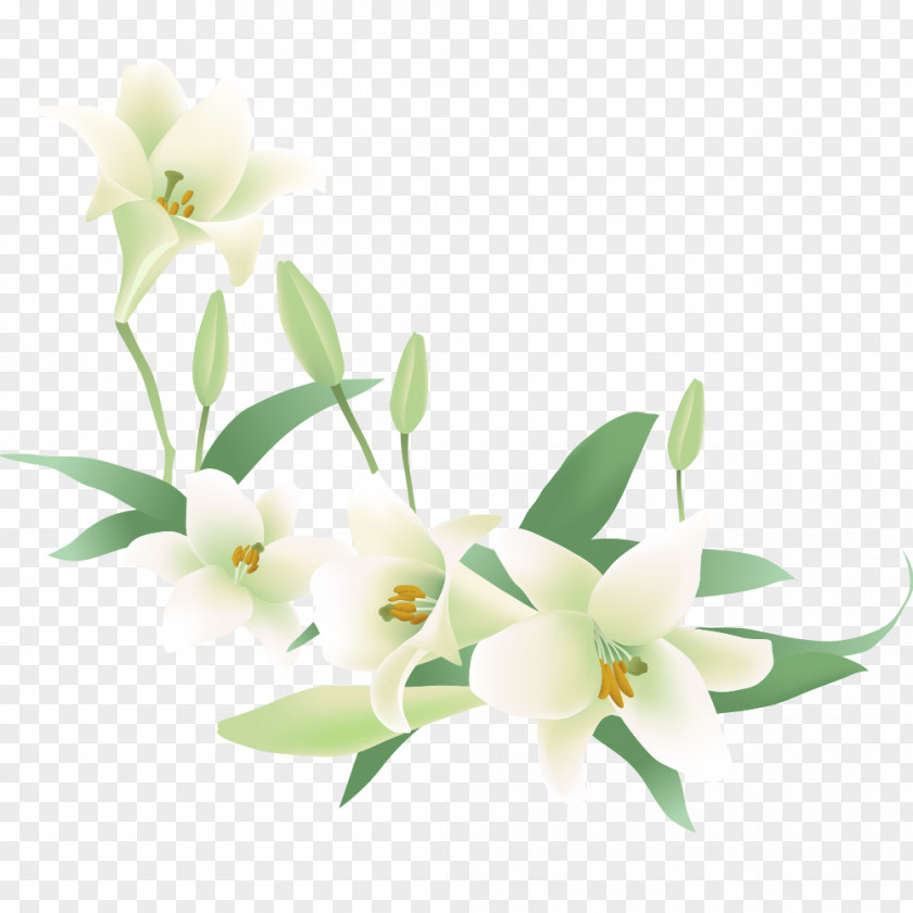 Floral Vector Graphics Flower Clip Art Design PNG