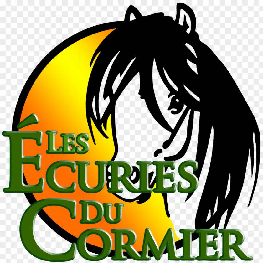 Horse Audrey Sokol I Communication Print & Web Graphiste Freelance Les Ecuries Du Cormier Graphic Design PNG
