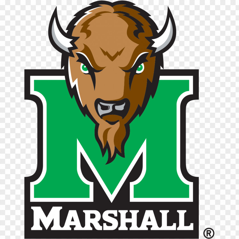 Marshall University Thundering Herd Football Men's Basketball Logo PNG