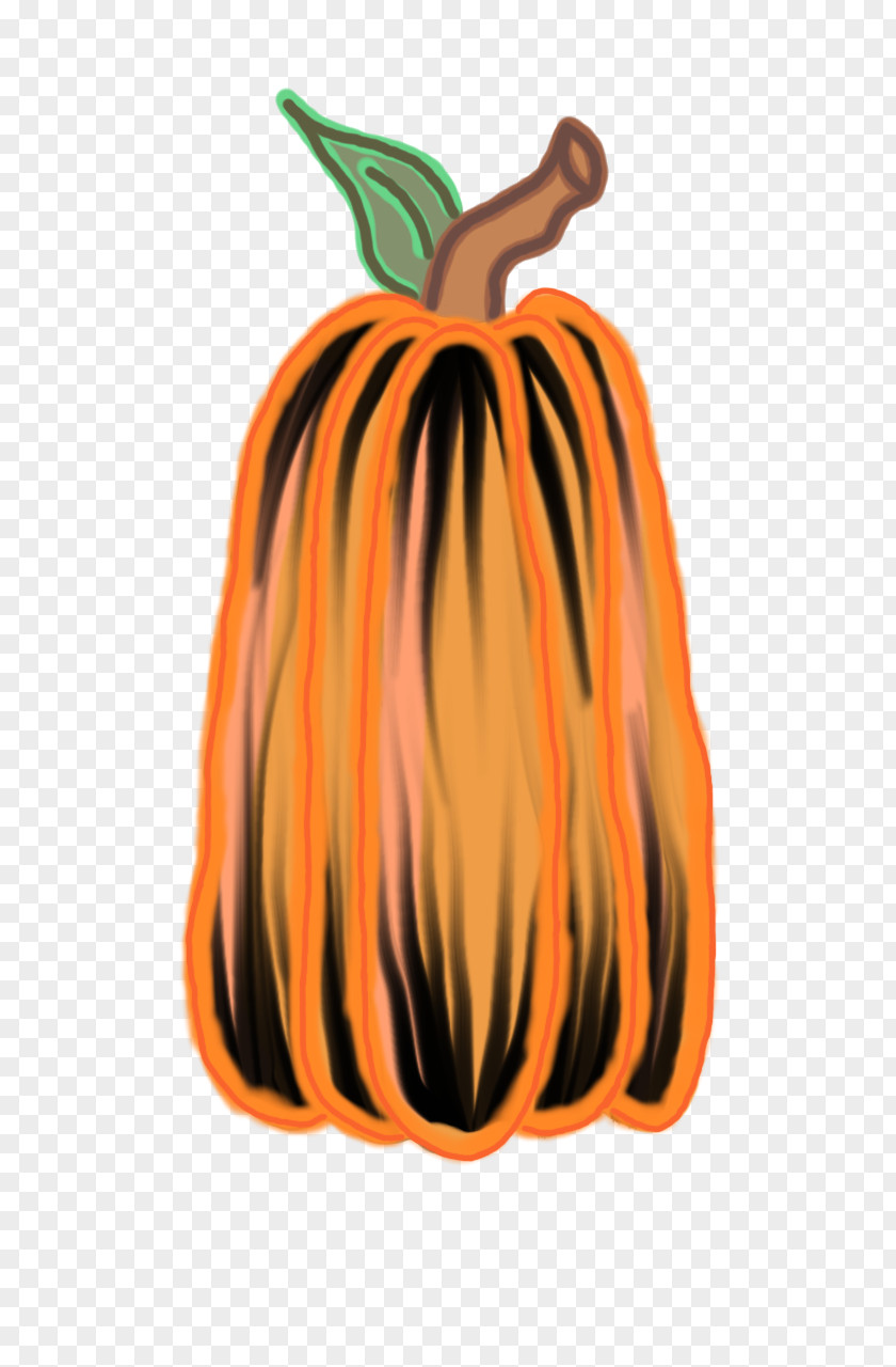 Pumpkin Calabaza Winter Squash Gourd PNG