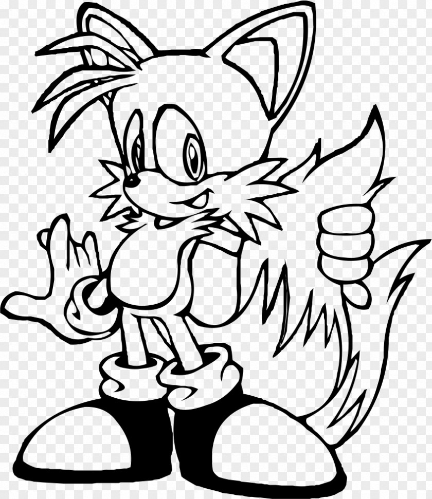 Sonic The Hedgehog Colors Tails Shadow Amy Rose PNG