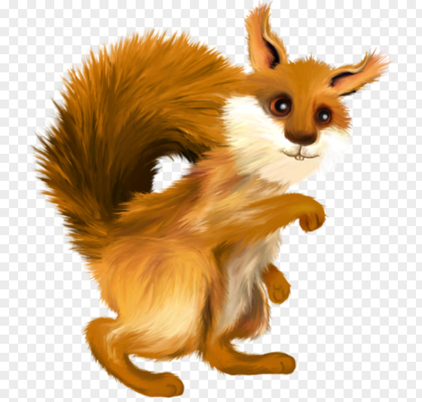 Vo Red Fox PhotoScape Rodent Tree Squirrel PNG
