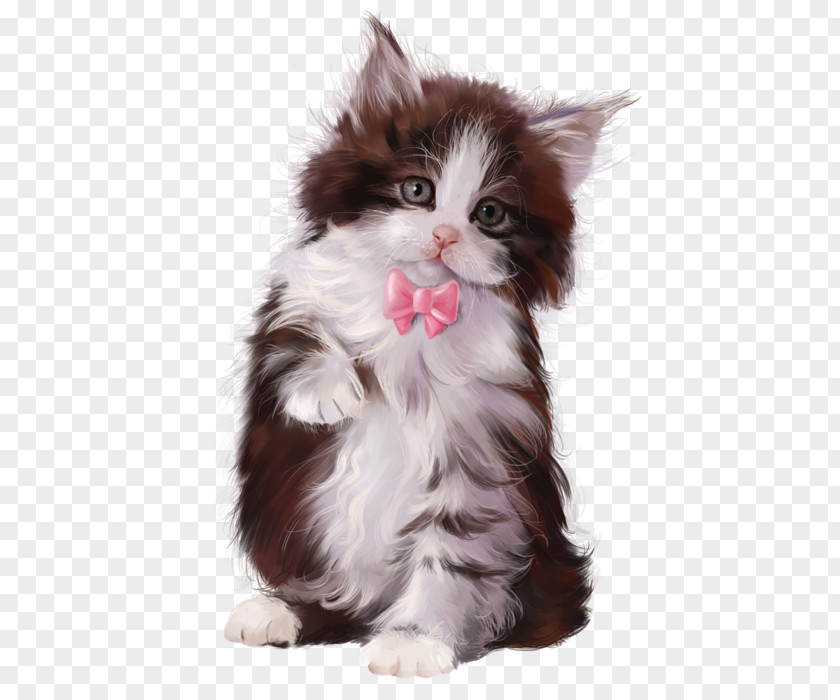 Chaton Kitten Cat Toy Poodle Puppy PNG