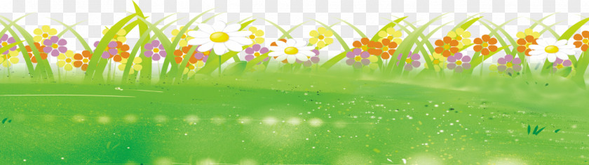 Grass Background Download Computer File PNG