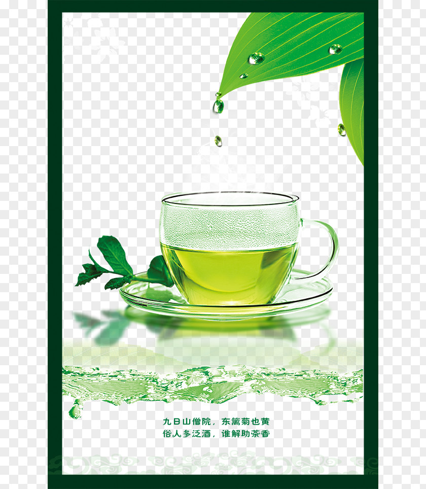 Green Tea Cup Teacup Longjing PNG