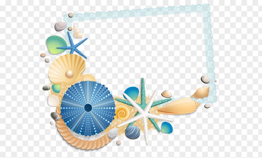 Love Story Seashell Beach PNG