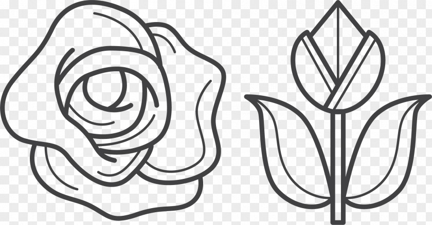 Rose Pen Beach Flower Clip Art PNG