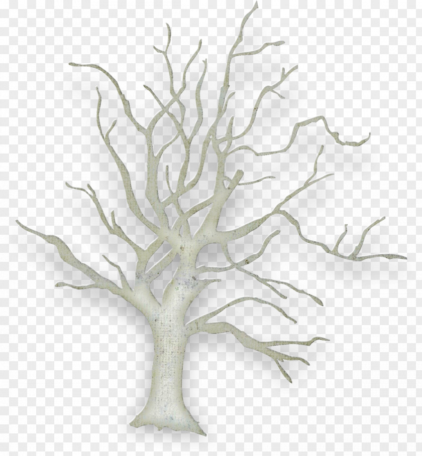 White Tree Of Gondor Plant Image Drawing Plants PNG