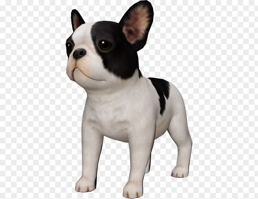 Bulldog French Boston Terrier Super Smash Bros. For Nintendo 3DS And Wii U Toy PNG