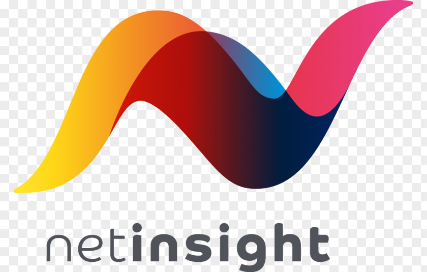 Business Net Insight Internet VizuAll, Inc. Management PNG