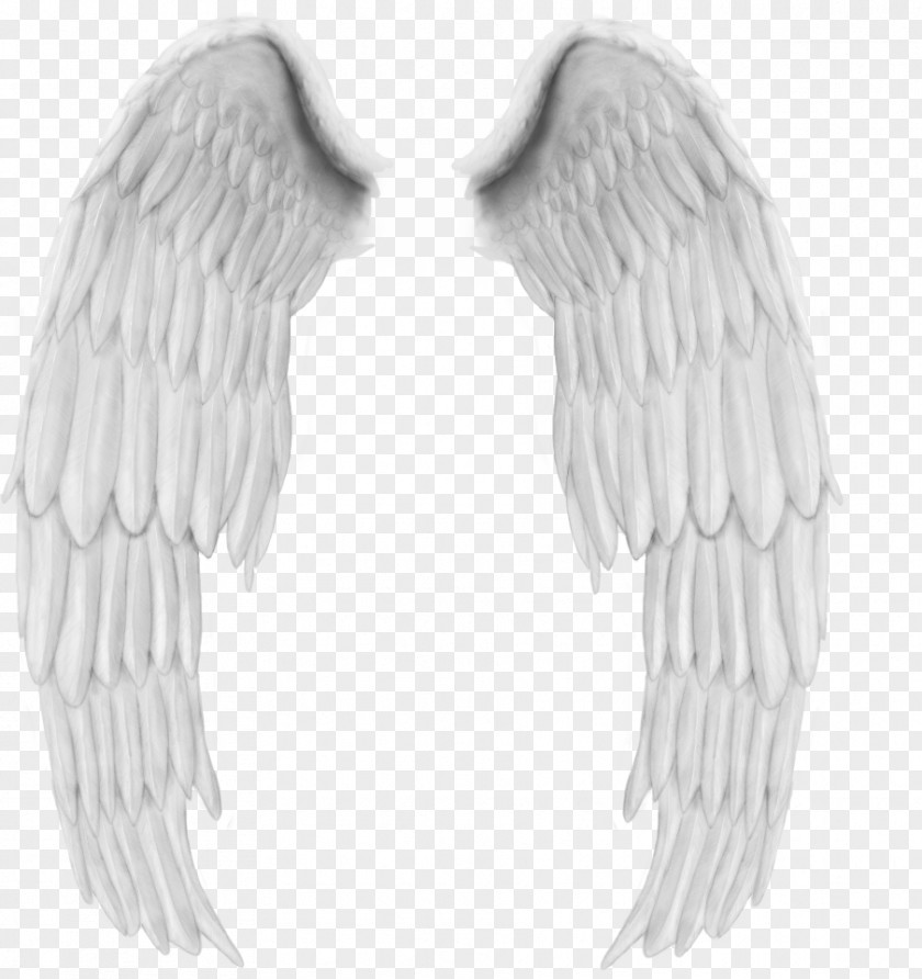 Feather Angel PNG