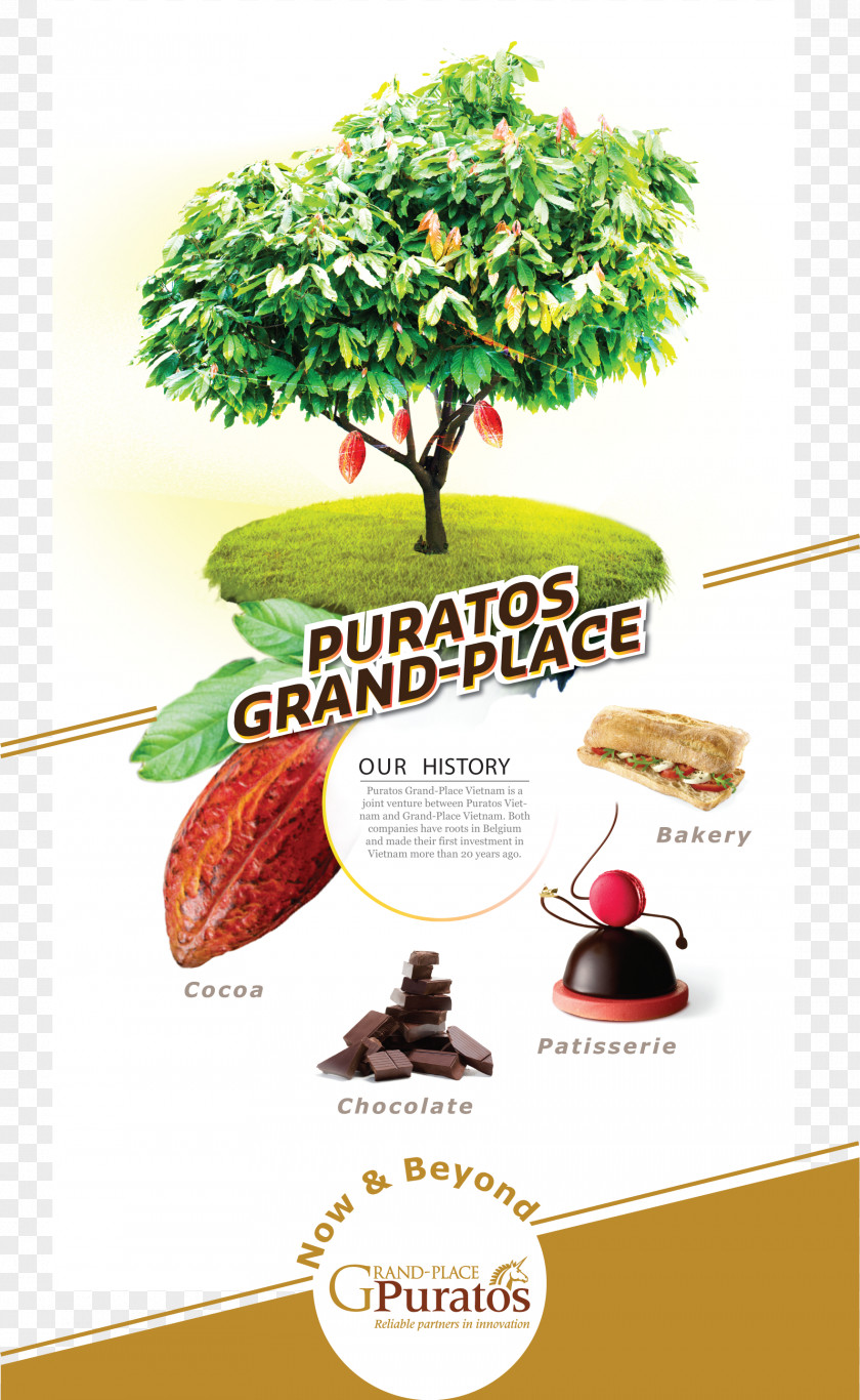 Grand Place Nhà Máy Puratos Grand-Place Viet Nam Central Bakery Business Innovation PNG