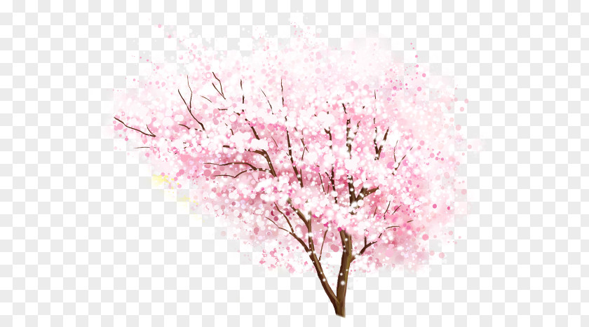 Hand Painted Watercolor Pink Peach Tree National Cherry Blossom Festival PNG
