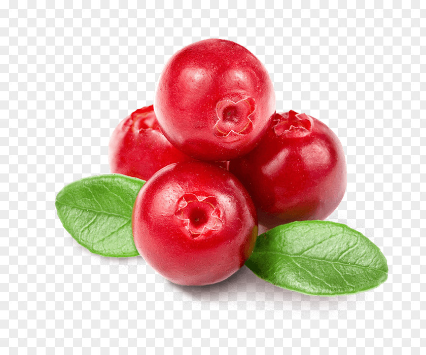 Juice Cranberry Jam Flavor PNG