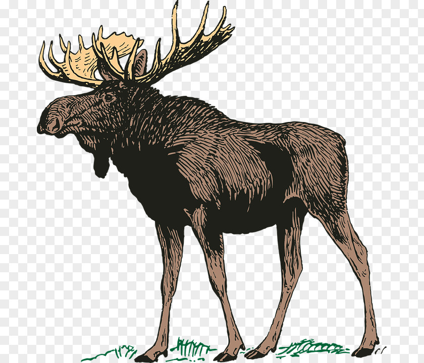 Notebook Moose Lodge 1483 Paper Deer PNG