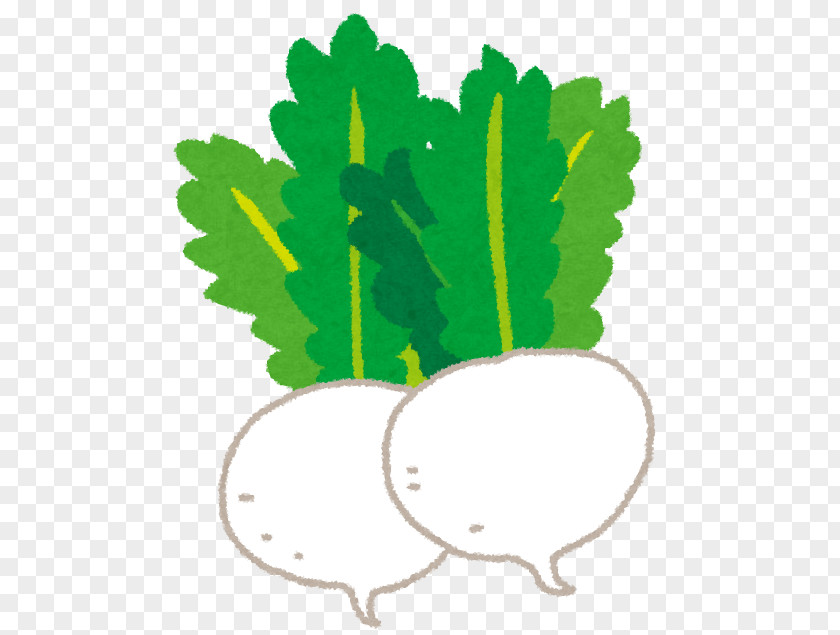 Share Tsukemono Turnip 淡色野菜 緑黄色野菜 PNG