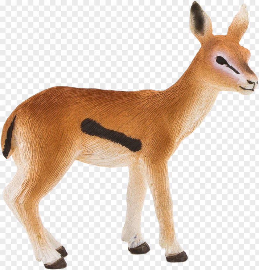 Tail Deer Dog And Cat PNG