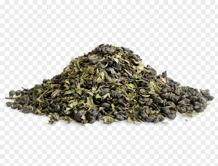 Tea Oolong Gunpowder Nilgiri Tieguanyin PNG