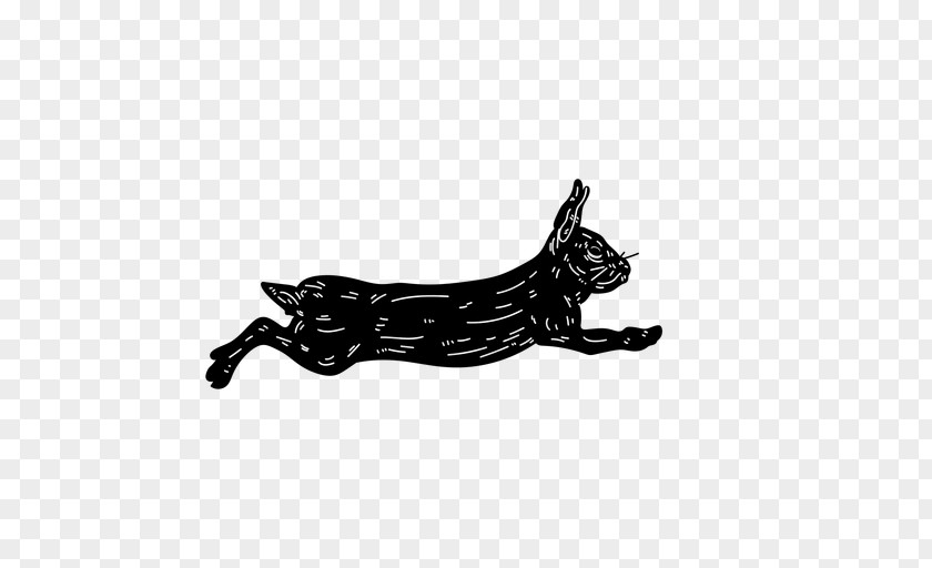 Cat French Bulldog Dog And PNG