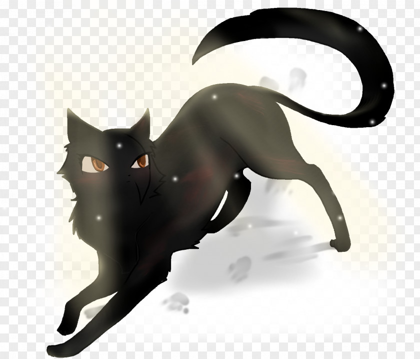 Cat Whiskers Tail PNG
