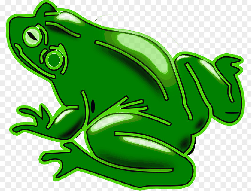 Common Frog Amphibians Clip Art Edible PNG