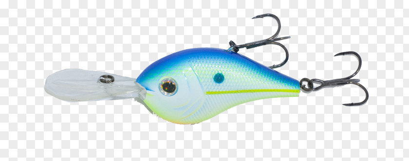 Fish Fishing Baits & Lures Marine Mammal Recreation PNG