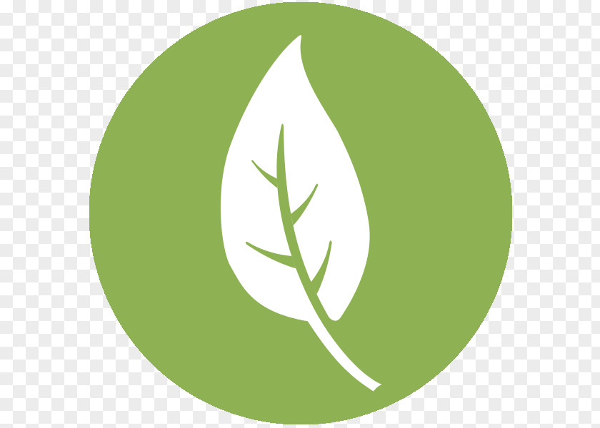 Rousseau Natural Environment Environmentally Friendly Logo Sustainability Environmental Management System PNG