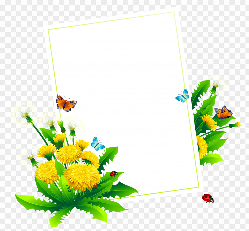 Spring Blank Decor Clipart Picture Album Design Graphics PNG