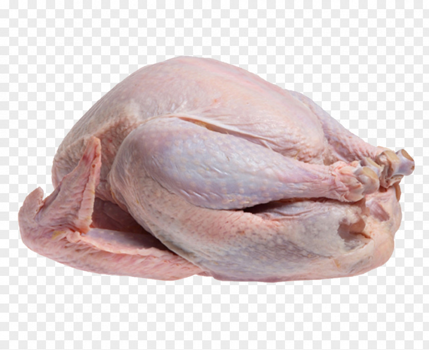 Turkey Bird Meat Food Cooking Roasting PNG