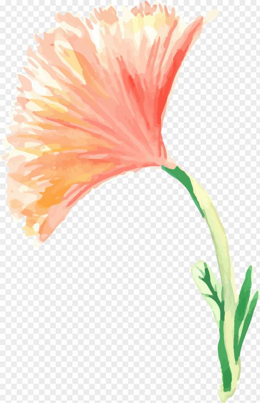 Watercolor Painted Floral Decoration Painting Flowers Creative PNG