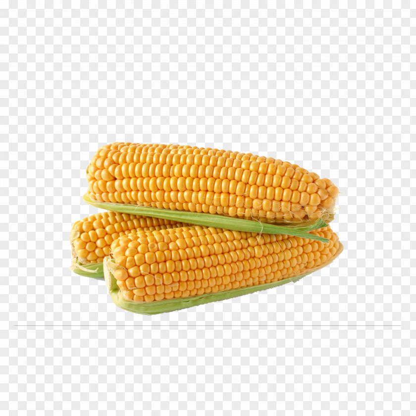Corn On The Cob Maize Sweet Baby Corncob PNG