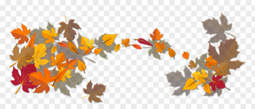 Hand Painted Autumn Leaves Leaf PNG