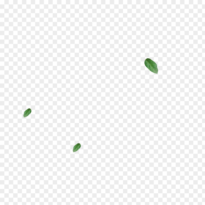 Leaves Angle Pattern PNG