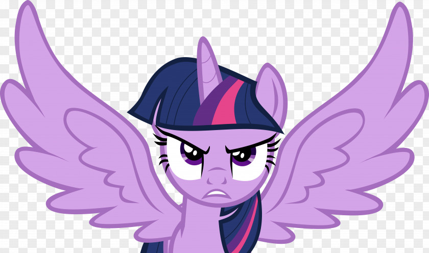 My Little Pony Twilight Sparkle Princess Cadance Luna PNG