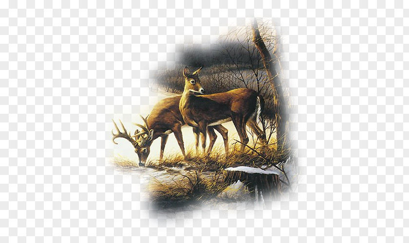 Painting Deer Art Elk Drawing PNG