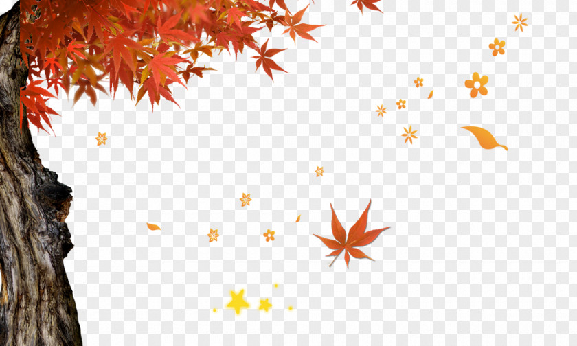 Autumn Text Leaf Illustration PNG